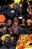 Witcher Omnibus Vol 2