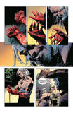 Witcher Omnibus Vol 3